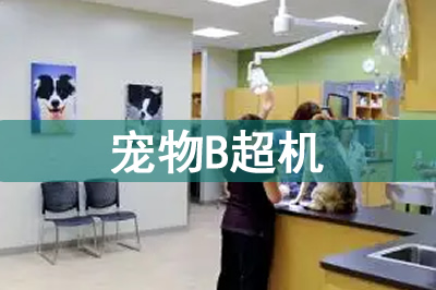 寵物b超機(jī)價(jià)格多少錢(qián)一臺(tái)？寵物B超為什